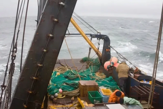 Danish Seine Net,Danish Seine Net Manufacturer | Custom Commercial Fishing Net,PLFISHERY
