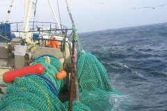 Danish Seine Net,Danish Seine Net Manufacturer | Custom Commercial Fishing Net,PLFISHERY