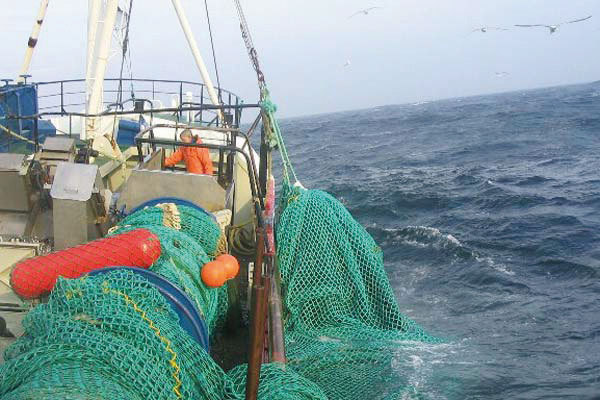 Danish Seine Net,Danish Seine Net Manufacturer | Custom Commercial Fishing Net,PLFISHERY