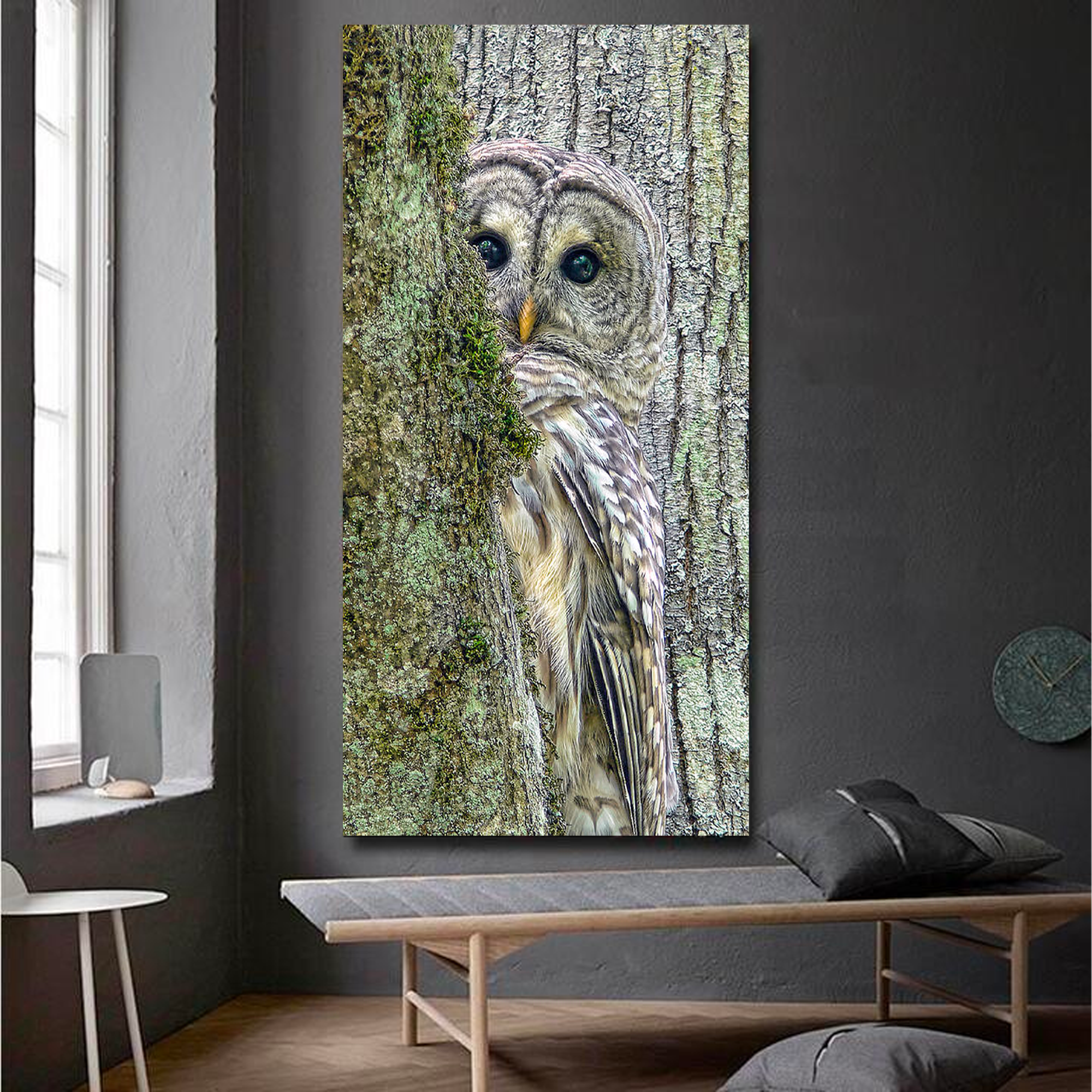 Barred Owl Peek a Boo Canvas Wall Art
