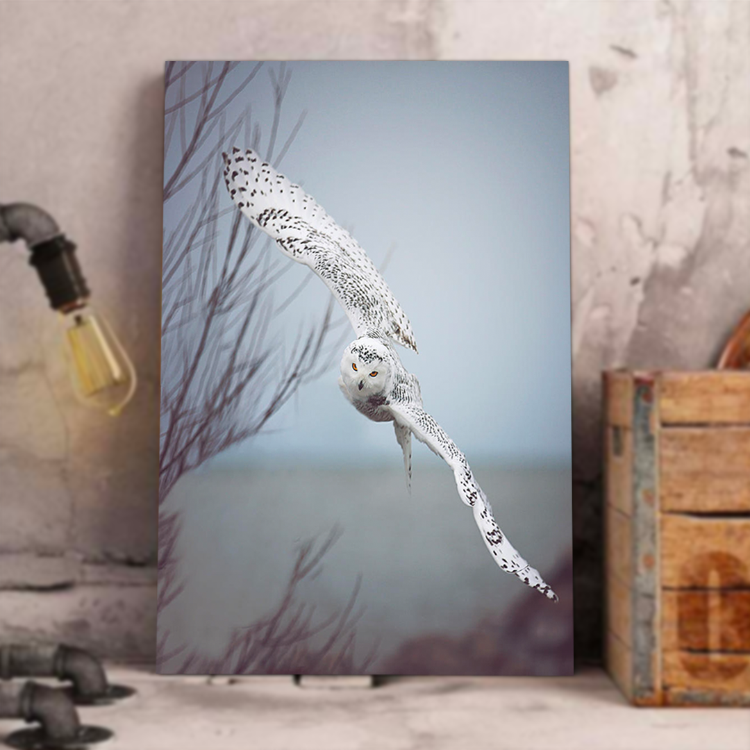 Snowy Owl In Flight Canvas Wall Art
