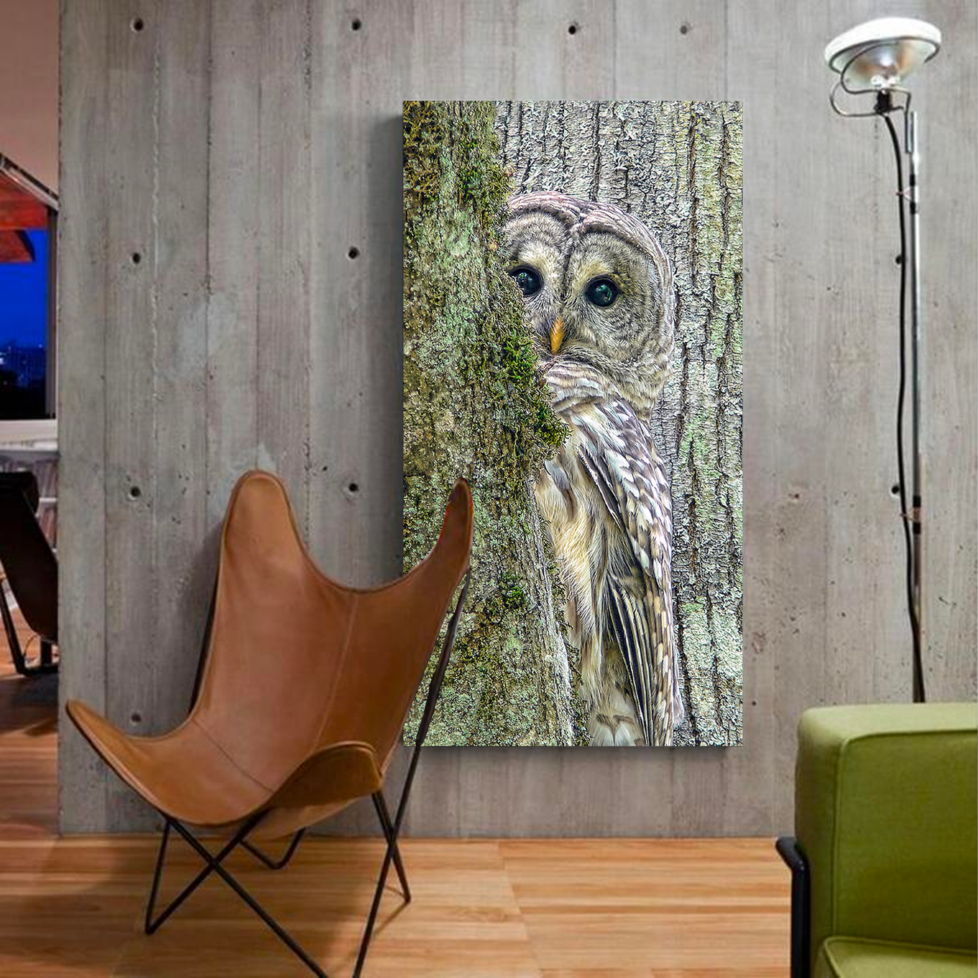 Barred Owl Peek a Boo Canvas Wall Art