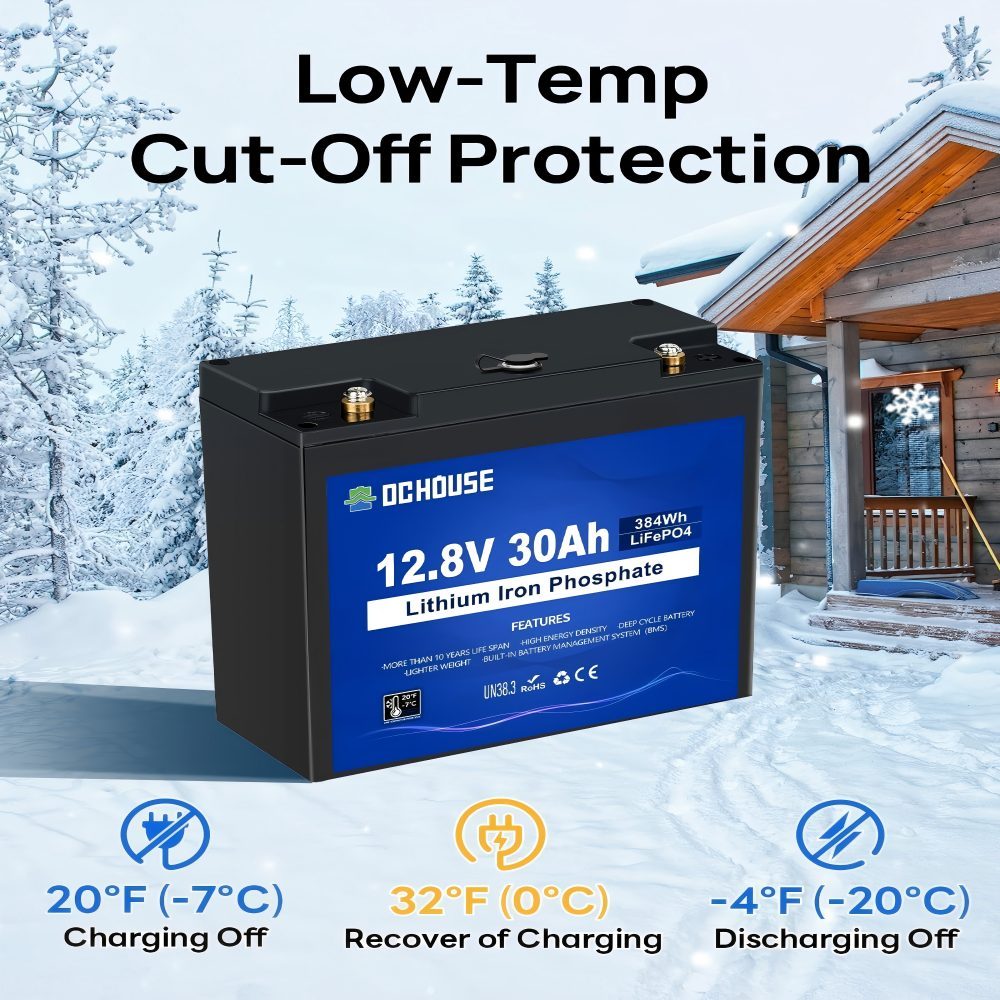 12V 30 Ah LiFePO4 Deep Cycle Lithium Battery Rechargeable with 4000+ Deep Cycle Batteries and BMS Protection for Fish Finder, Solar Panel, Boat with Motor, Motorhome, Golf Caddy
