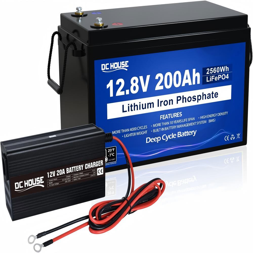 12V 200 Ah LiFePO4 Battery with 20 A Charger, Lithium Battery 12 V with 8000+ Times Deep Cycles and BMS, Deep Cycle Batteries for Motorhomes, Solar Systems, Caravans, Off-Grid Applications