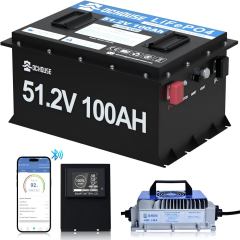 48V 100Ah LiFePO4 Metal Case Golf Cart Battery Conversion Kit