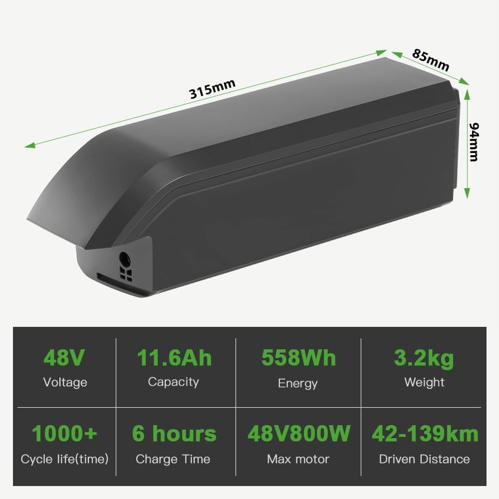 Fischer E-Bike 48V 11.6Ah 14Ah Li-ion Battery with Charger Phylion Battery SF-06S JCEB480-11.6 for 250W-800W E-Bikes Pedelecs