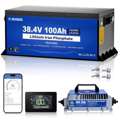 36V 100Ah Pro Lithium Golf Cart Battery, LiFePO4 Battery with 36V 25A Charger, Bluetooth Mobile APP& LCD Monitor, 200A BMS, Peak Current 670A, Perfect for Trolling Motor, Marine-Metal Case
