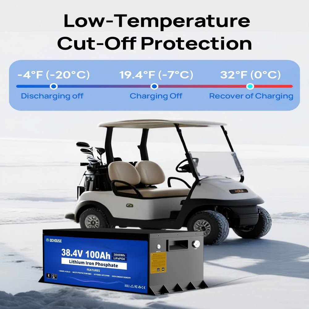 36V 100Ah Pro Lithium Golf Cart Battery, LiFePO4 Battery with 36V 25A Charger, Bluetooth Mobile APP& LCD Monitor, 200A BMS, Peak Current 670A, Perfect for Trolling Motor, Marine-Metal Case