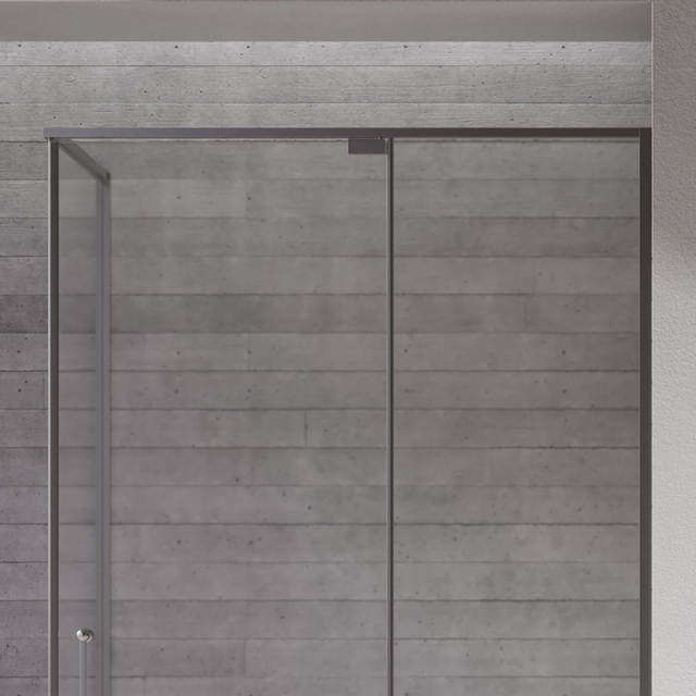 Quality Wholesale Unique Design Pivot Rectangular Shower Door TW22-L-31