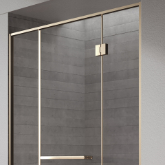 Factory Customized Hinged Gold Framed Alcove Shower Door TW21-S-31