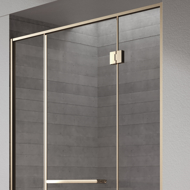 Factory Customized Hinged Gold Framed Alcove Shower Door TW21-S-31