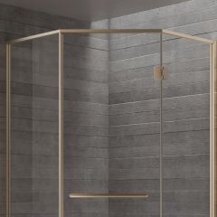 Wholesale High End Quality Hinged Glass Shower Door TW21-D-31