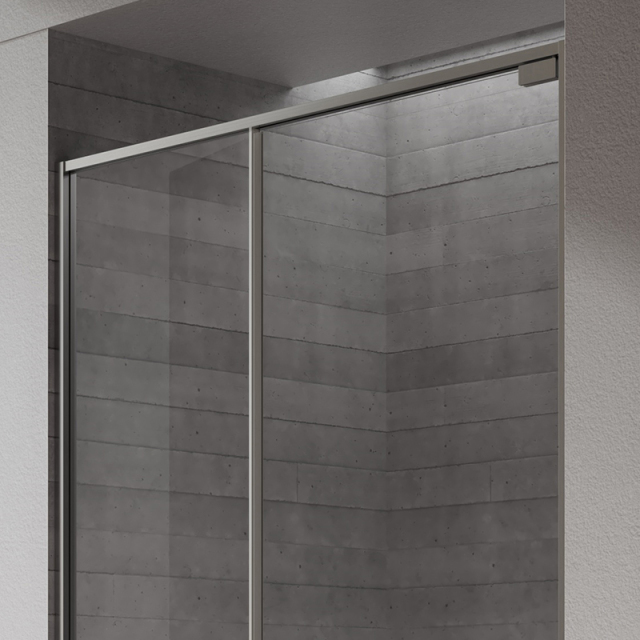 Hot Style Wholesale Pivot Stainless Steel Alcove Shower Door TW22-S-21