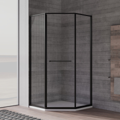 China Wholesale Factory Pivot Glass Shower Door TW27-D-31
