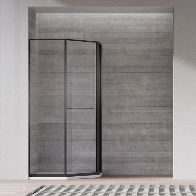 China Wholesale Factory Pivot Glass Shower Door TW27-D-31