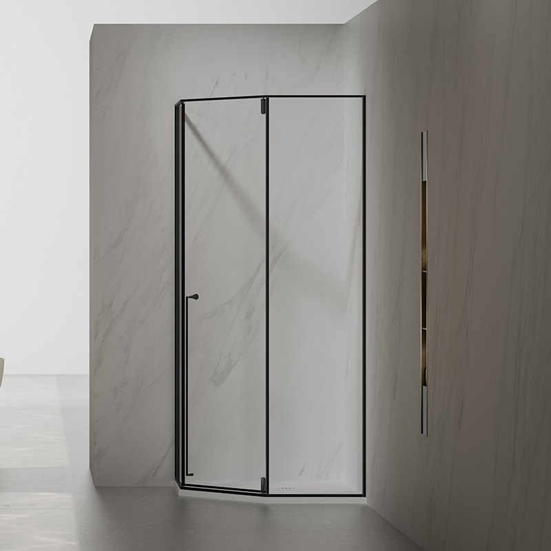 Quality Wholesale Unique Design Pivot Glass Shower Door TW26-D-31