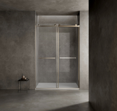 Wholesale Fashion Sliding Alcove Shower Doors TW102-S-22