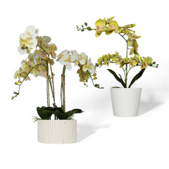 Wholesale luxury ceramic flower pots with butterfly flower designs