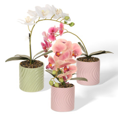 Wholesale Simple Pattern Ceramic Basin with Butterfly Orchid Simulation