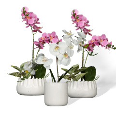 Wholesale luxury ceramic flower pots with butterfly flower designs