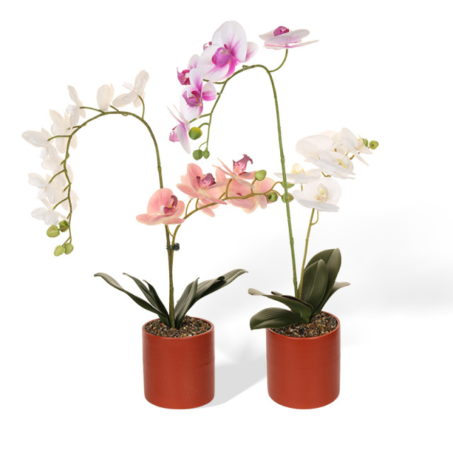 Wholesale Simple Pattern Ceramic Basin with Butterfly Orchid Simulation