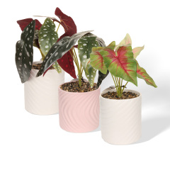 Wholesale Simulated Greenery Simple Pattern Ceramic Flower Pots