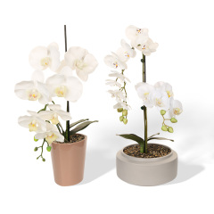 Wholesale Simple Pattern Ceramic Basin with Butterfly Orchid Simulation