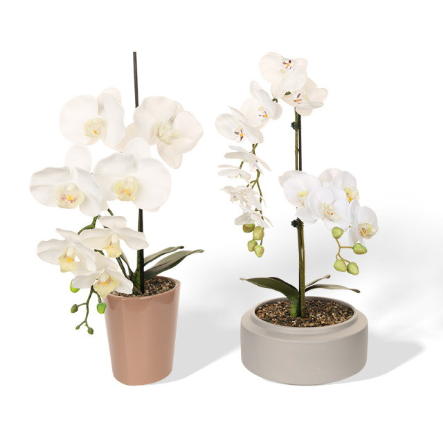 Wholesale Simple Pattern Ceramic Basin with Butterfly Orchid Simulation