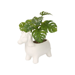 Factory Wholesale cute pet ceramic flower pots