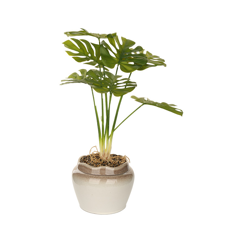 Factory Wholesale cute pet ceramic flower pots