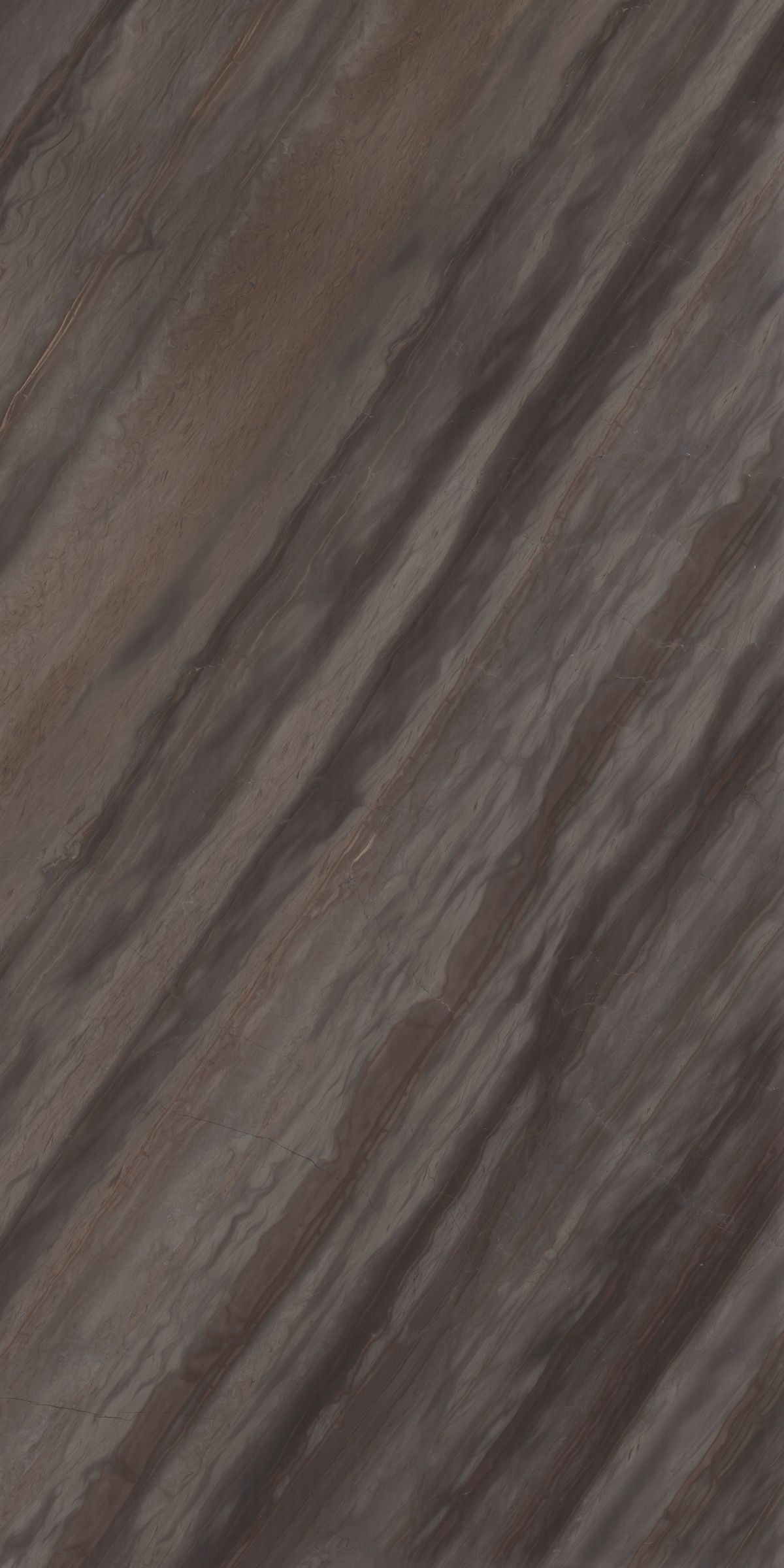 Elegant Brown