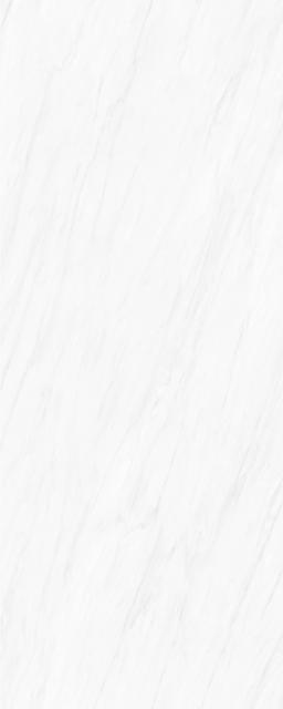Premium Elegant White
