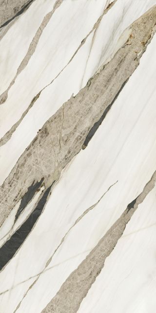 White Swan