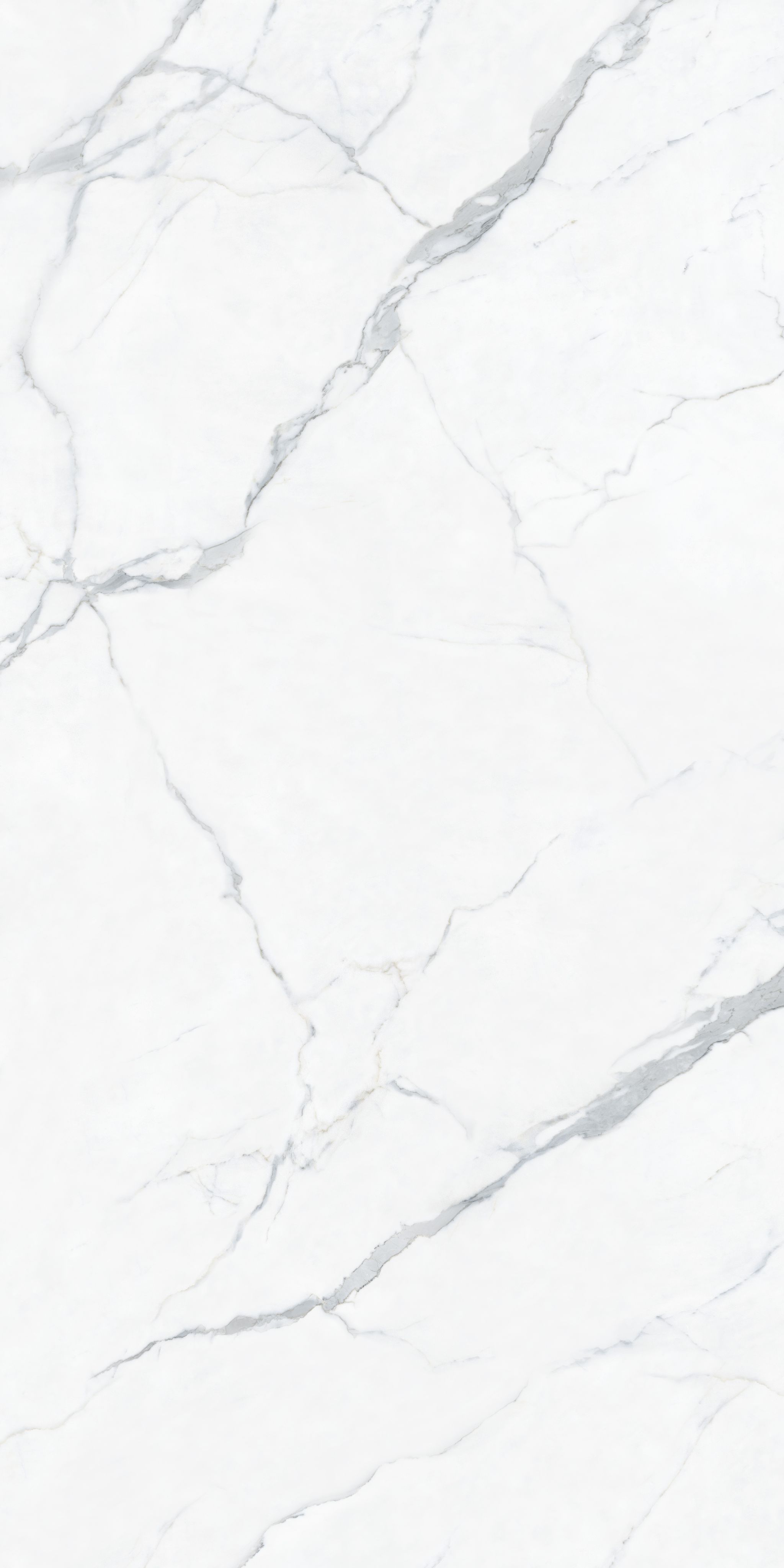 Calacatta White