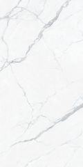 Calacatta White