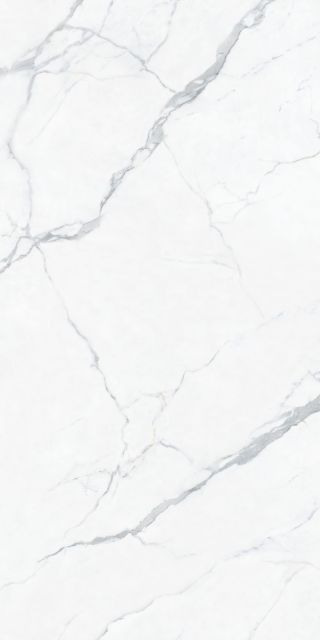 Calacatta White