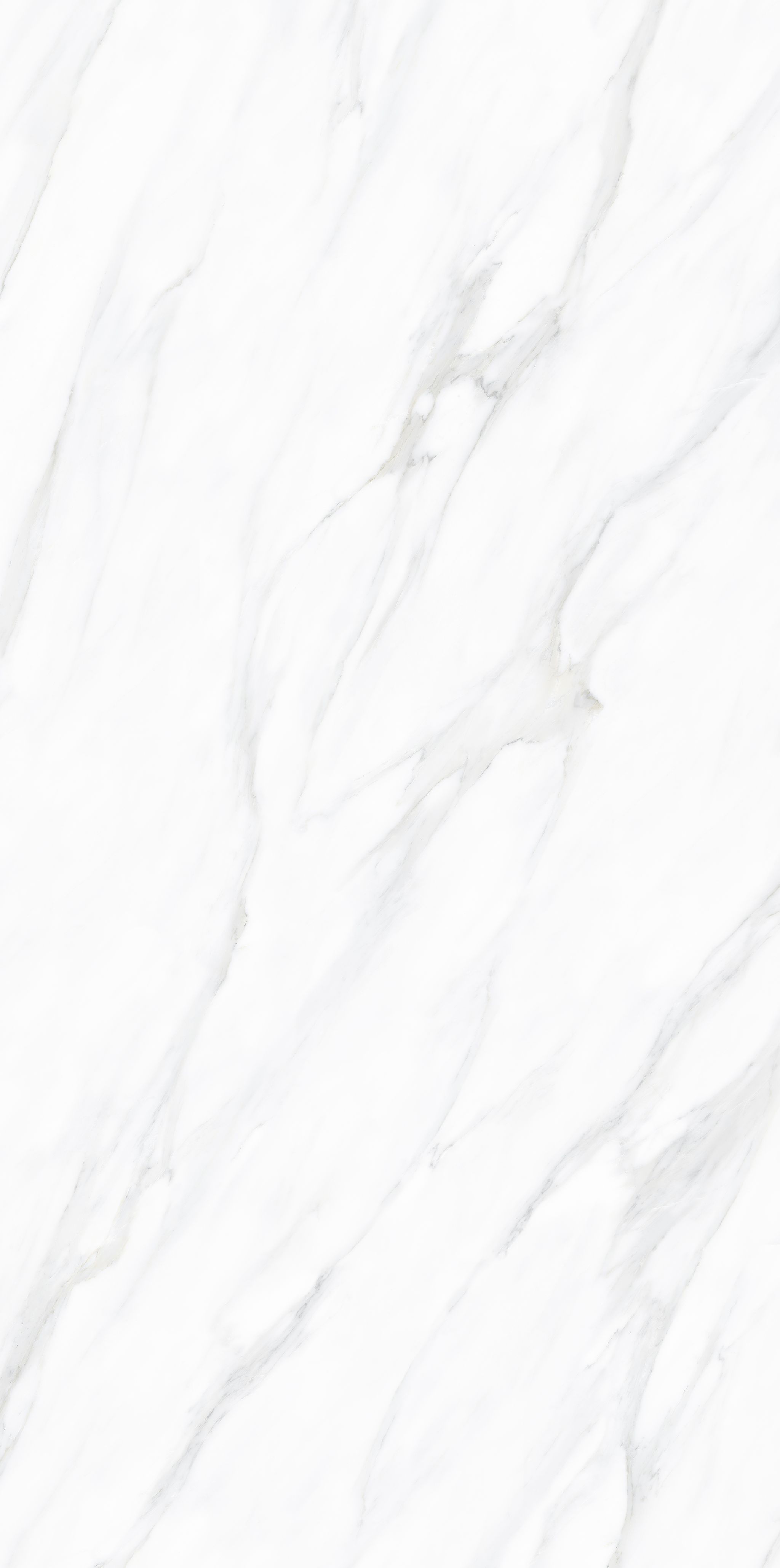 Carrara White