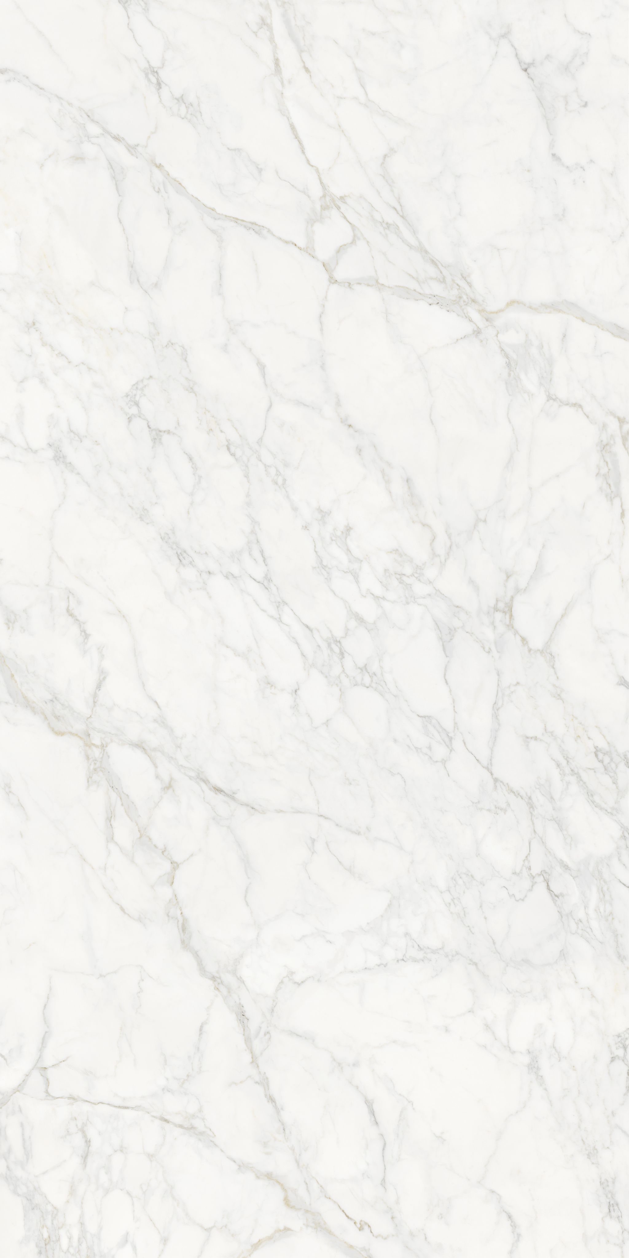 Fine Vein Carrara White