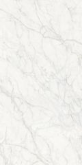 Fine Vein Carrara White
