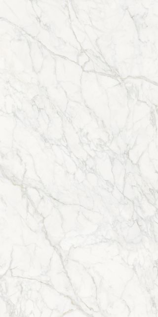 Fine Vein Carrara White