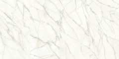 Italy Calacatta Gold