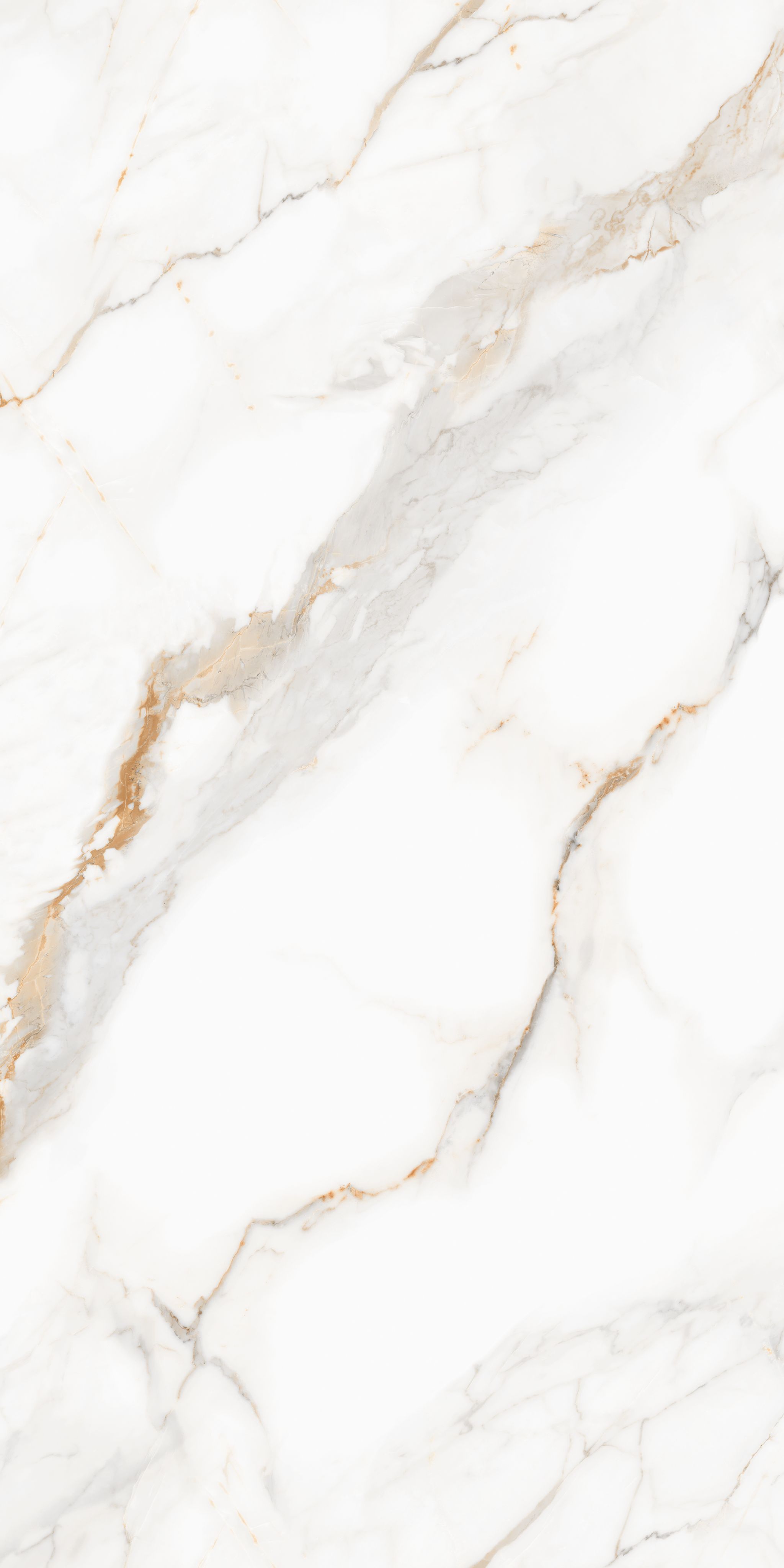 New Calacatta Gold