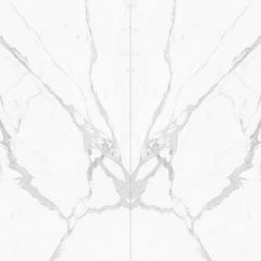 White Butterfly