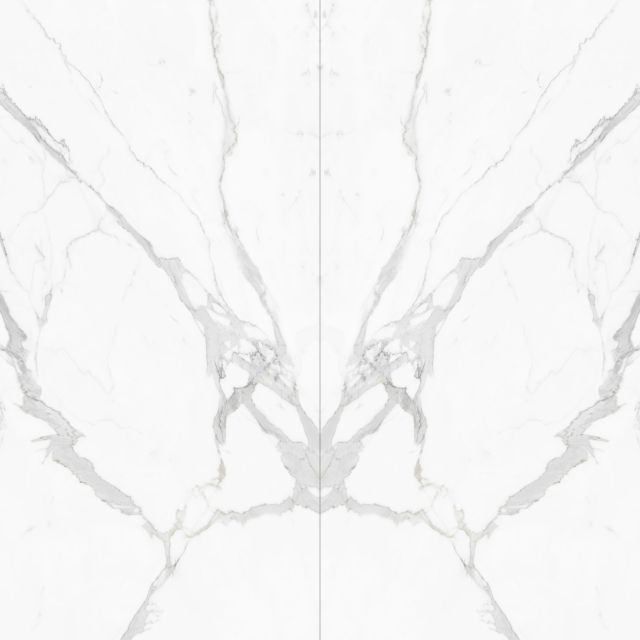 White Butterfly