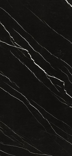 Bermuda Black