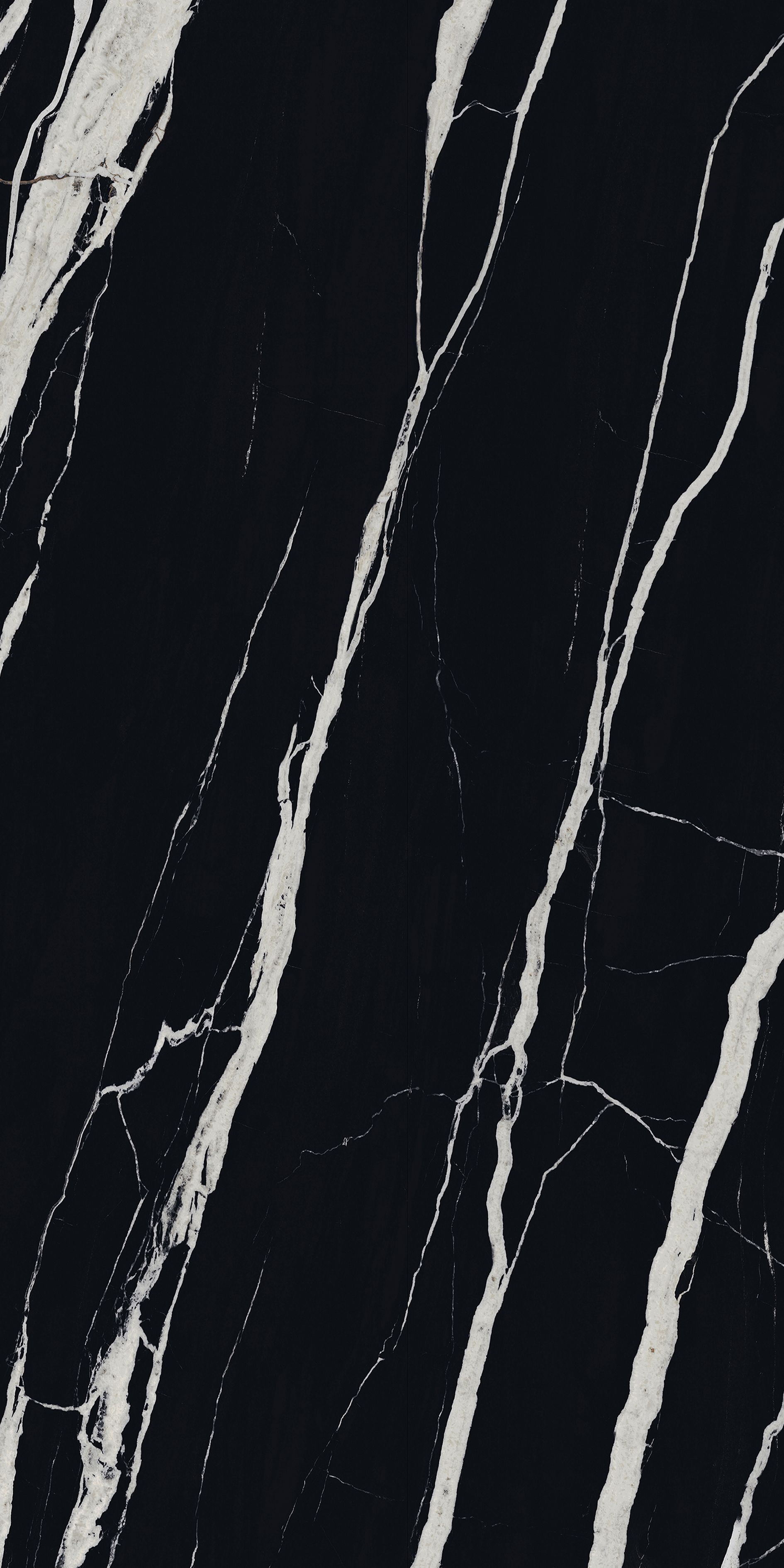 Black Fossil Stone