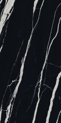 Black Fossil Stone