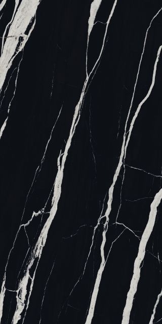 Black Fossil Stone