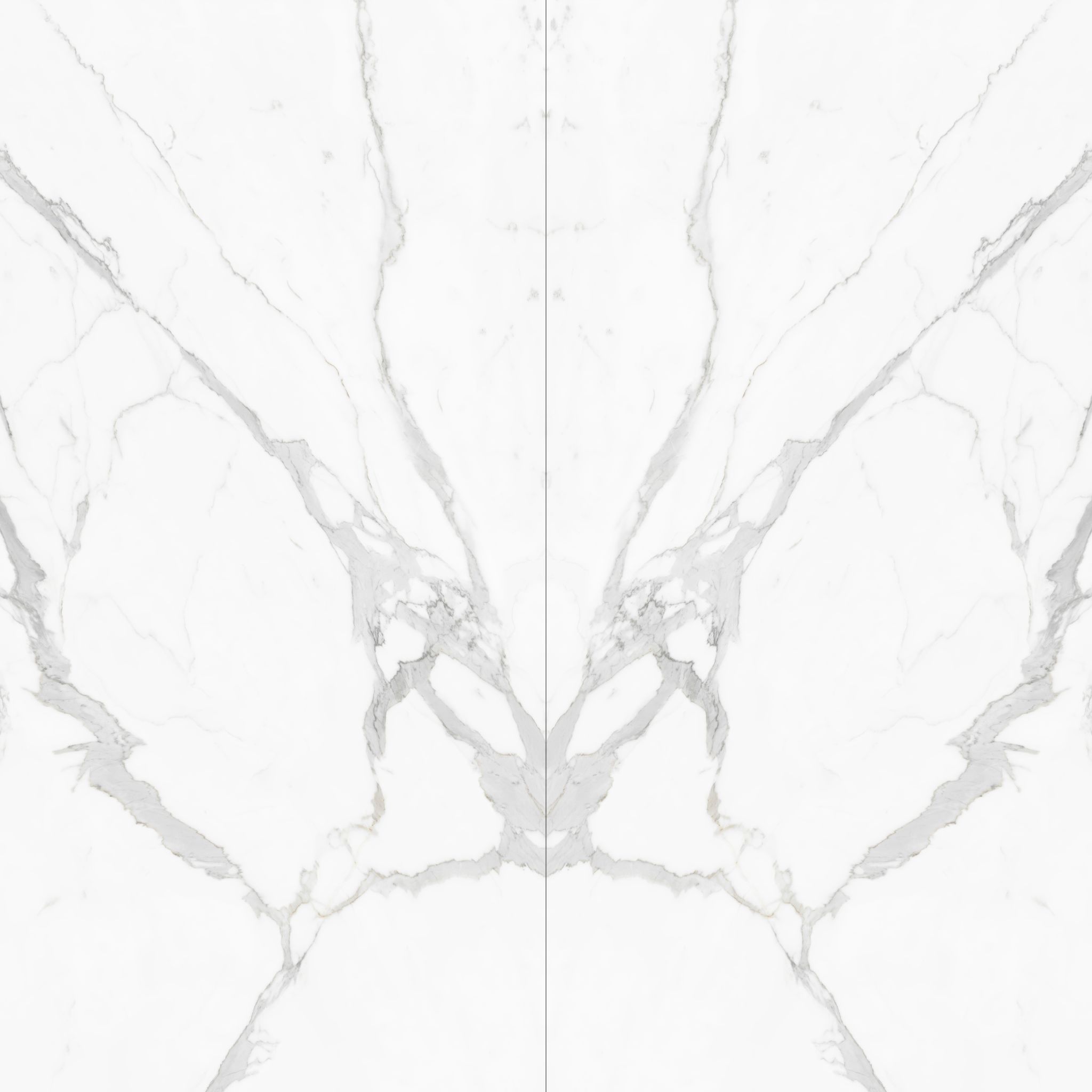 White Butterfly