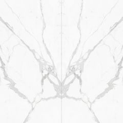 White Butterfly